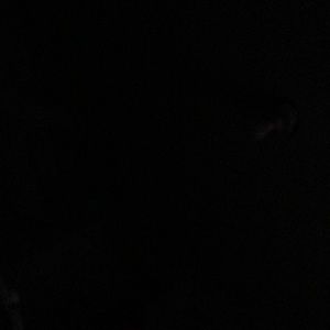 Meet your Posher, Alvin